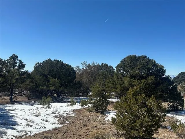1223 Brookview Way Crestone, CO 81131