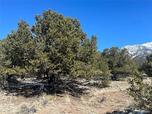 1223 Brookview Way Crestone, CO 81131