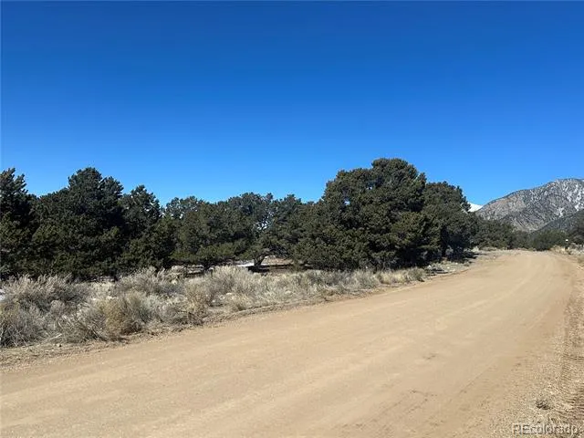 1223 Brookview Way Crestone, CO 81131