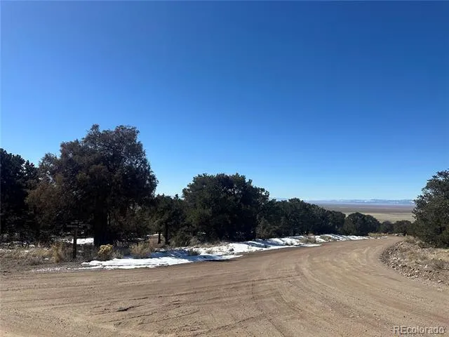 1223 Brookview Way Crestone, CO 81131