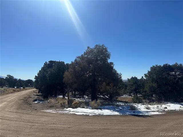 1223 Brookview Way Crestone, CO 81131