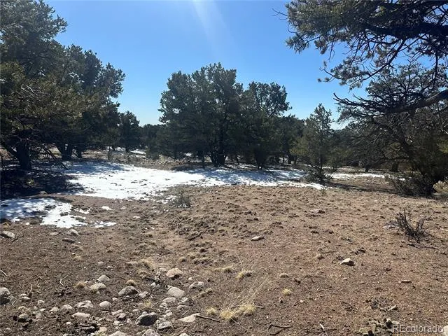 1223 Brookview Way Crestone, CO 81131
