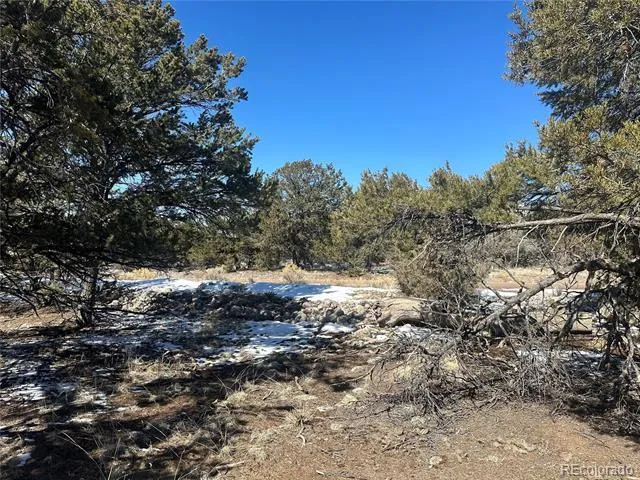 1223 Brookview Way Crestone, CO 81131