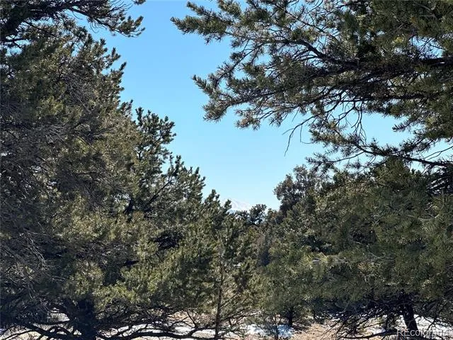 1223 Brookview Way Crestone, CO 81131