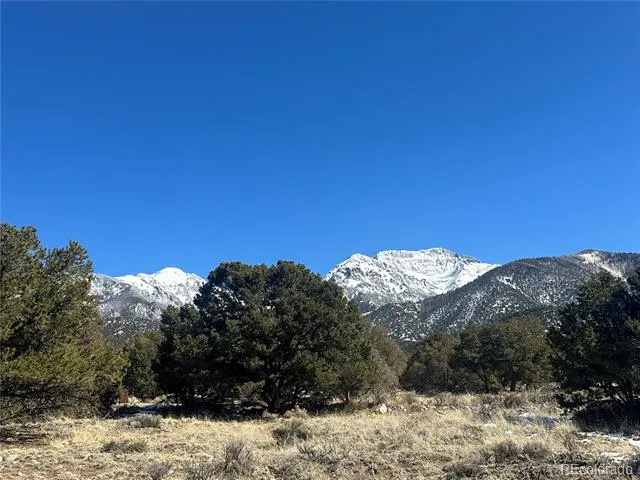 1223 Brookview Way Crestone, CO 81131