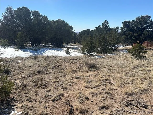 1223 Brookview Way Crestone, CO 81131