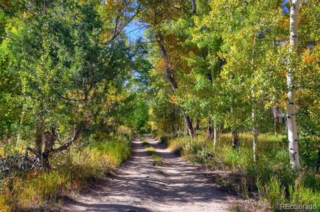 16730 County Road 241 Salida, CO 81201