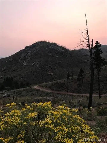 16280 Cochise Trail