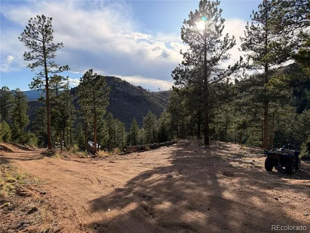 16280 Cochise Trail Pine, CO 80470