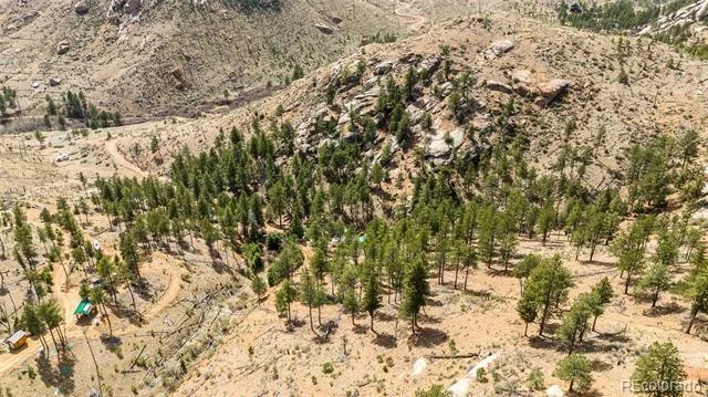 16280 Cochise Trail Pine, CO 80470