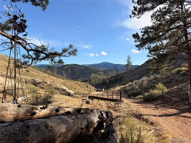 16280 Cochise Trail Pine, CO 80470