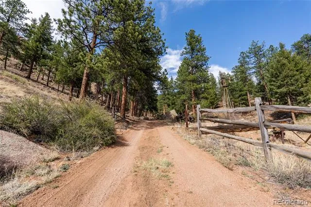 16280 Cochise Trail Pine, CO 80470