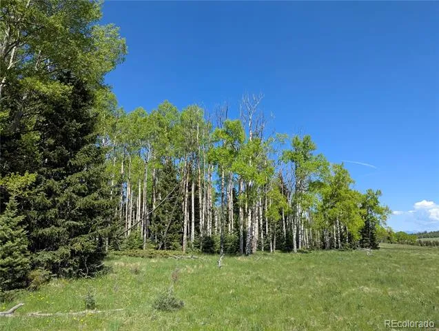 3119-3121 Segal Place Fort Garland, CO 81133