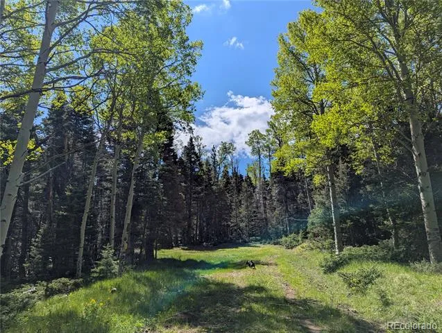 3119-3121 Segal Place Fort Garland, CO 81133