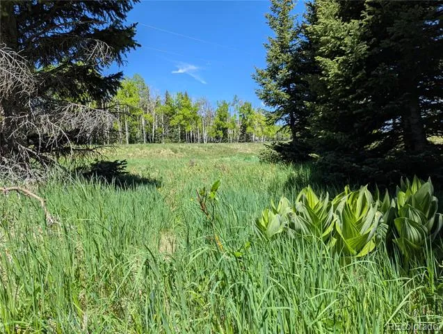 3119-3121 Segal Place Fort Garland, CO 81133