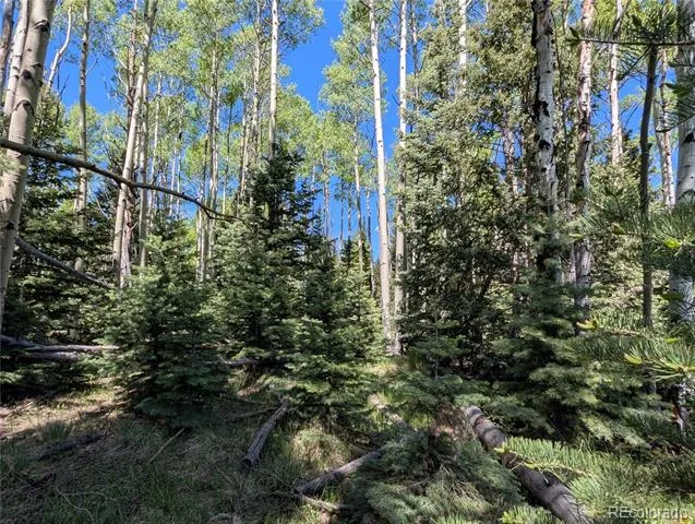 3119-3121 Segal Place Fort Garland, CO 81133