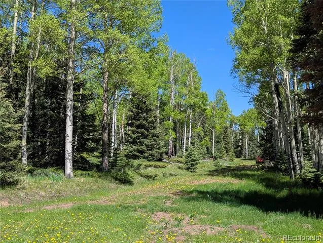 3119-3121 Segal Place Fort Garland, CO 81133