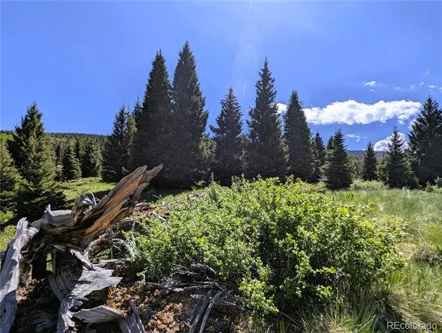 3119-3121 Segal Place Fort Garland, CO 81133