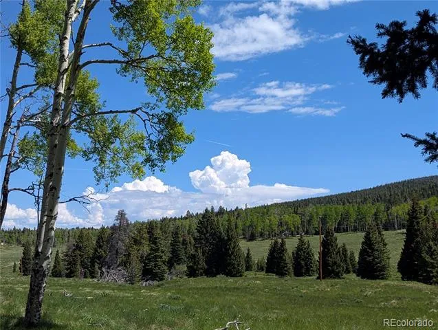 3119-3121 Segal Place Fort Garland, CO 81133