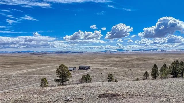 7103 Ranch Road Hartsel, CO 80449