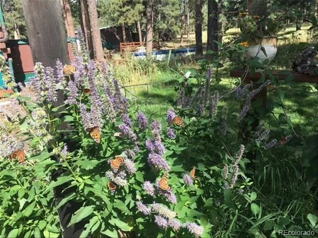 5030 Cedar Way Elizabeth, CO 80107