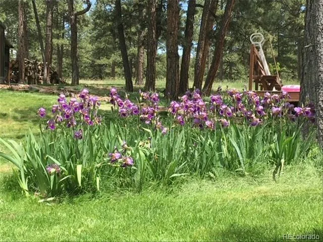 5030 Cedar Way Elizabeth, CO 80107