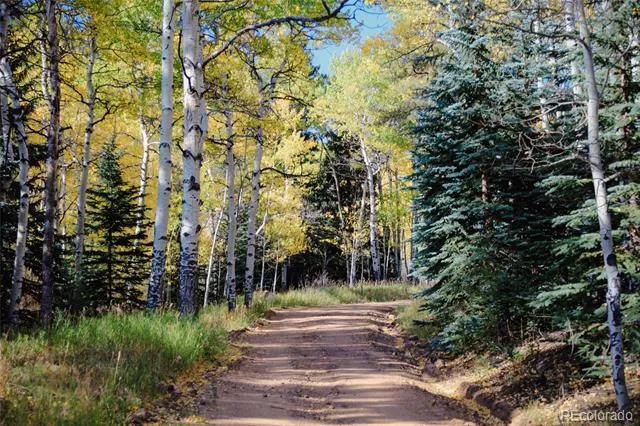 Address Not Shown Evergreen, CO 80439