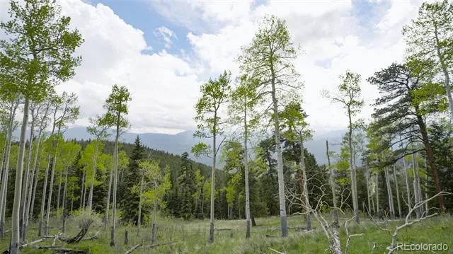 Address Not Shown Evergreen, CO 80439