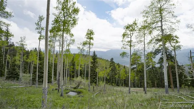 Address Not Shown Evergreen, CO 80439