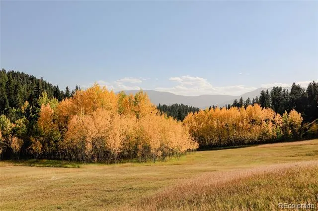 Address Not Shown Evergreen, CO 80439