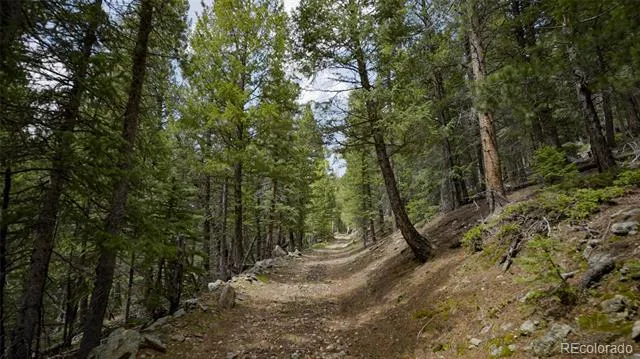 Address Not Shown Evergreen, CO 80439