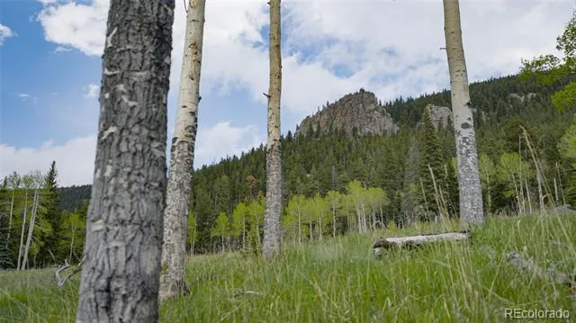 Address Not Shown Evergreen, CO 80439