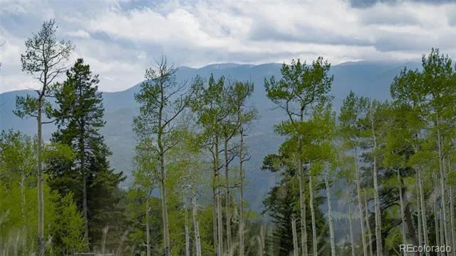 Address Not Shown Evergreen, CO 80439