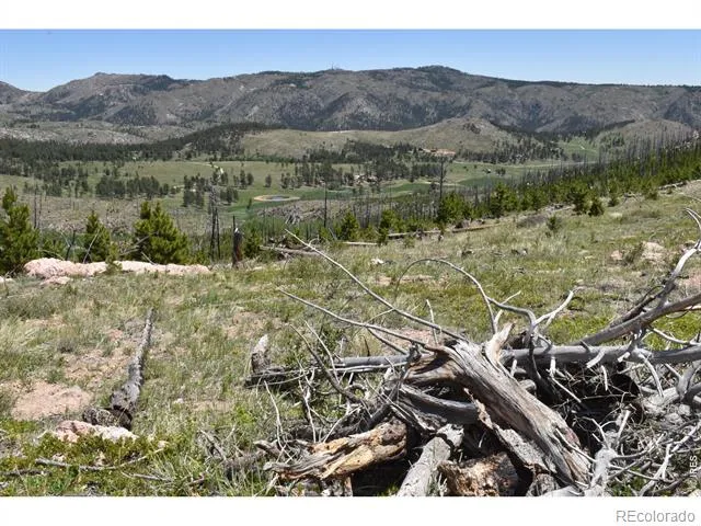1989 Spencer Mountain Road Bellvue, CO 80512