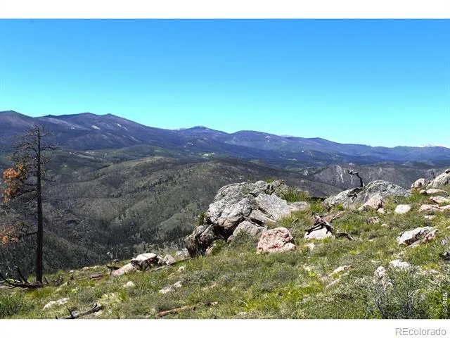 1989 Spencer Mountain Road Bellvue, CO 80512