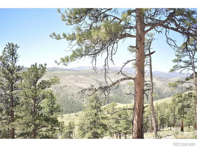 1989 Spencer Mountain Road Bellvue, CO 80512