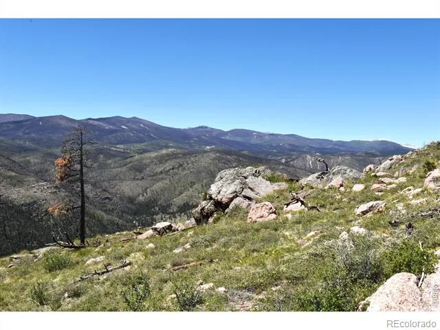 1989 Spencer Mountain Road Bellvue, CO 80512
