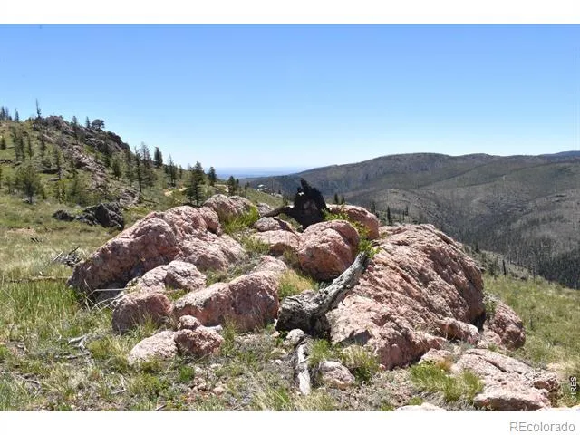 1989 Spencer Mountain Road Bellvue, CO 80512