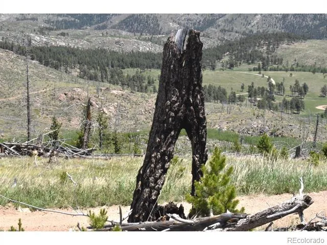1989 Spencer Mountain Road Bellvue, CO 80512