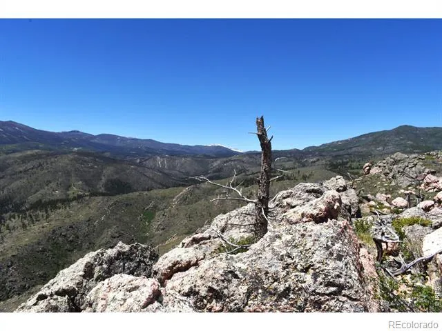 1989 Spencer Mountain Road Bellvue, CO 80512
