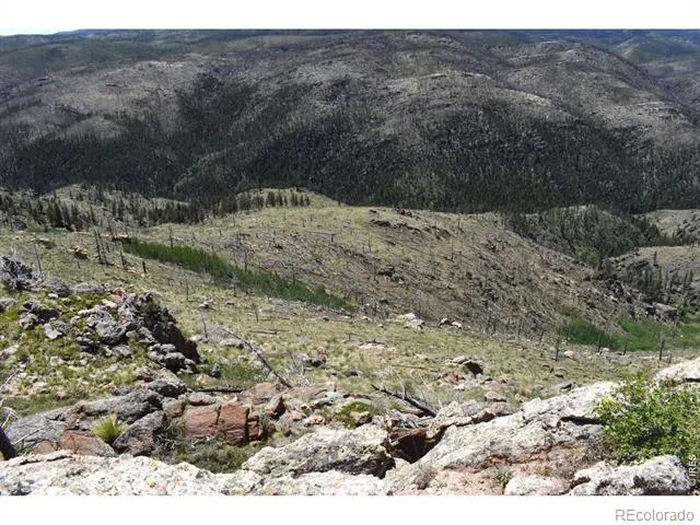 1989 Spencer Mountain Road Bellvue, CO 80512