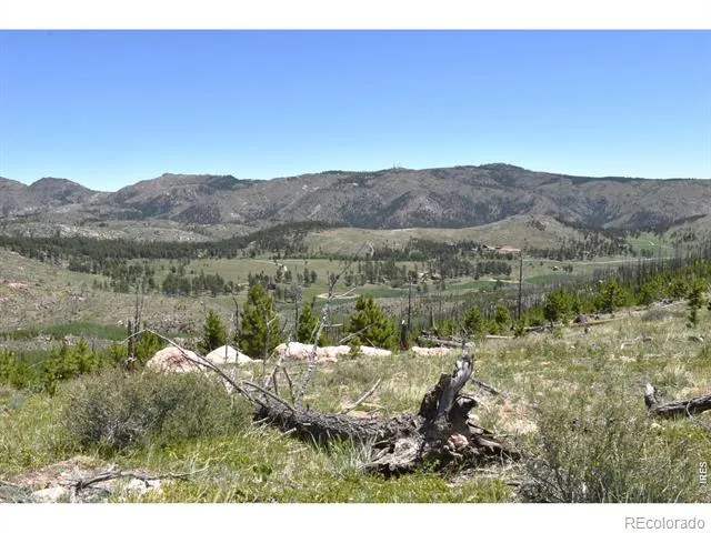 1989 Spencer Mountain Road Bellvue, CO 80512