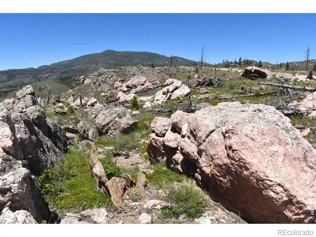 1989 Spencer Mountain Road Bellvue, CO 80512