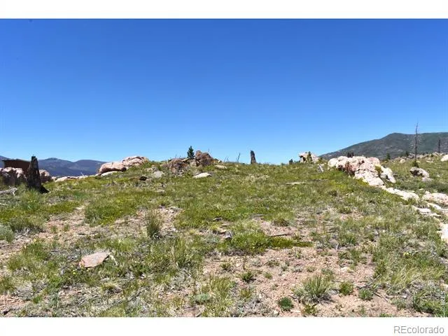 1989 Spencer Mountain Road Bellvue, CO 80512