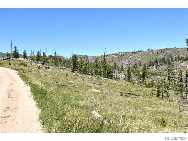 1989 Spencer Mountain Road Bellvue, CO 80512