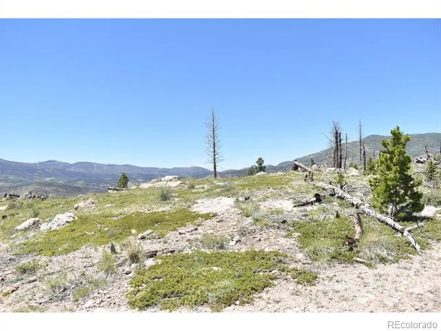 1989 Spencer Mountain Road Bellvue, CO 80512