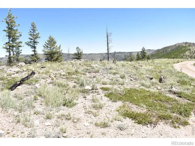 1989 Spencer Mountain Road Bellvue, CO 80512