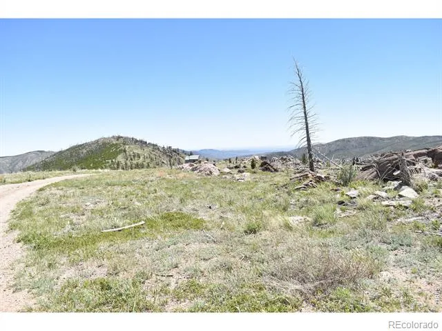 1989 Spencer Mountain Road Bellvue, CO 80512