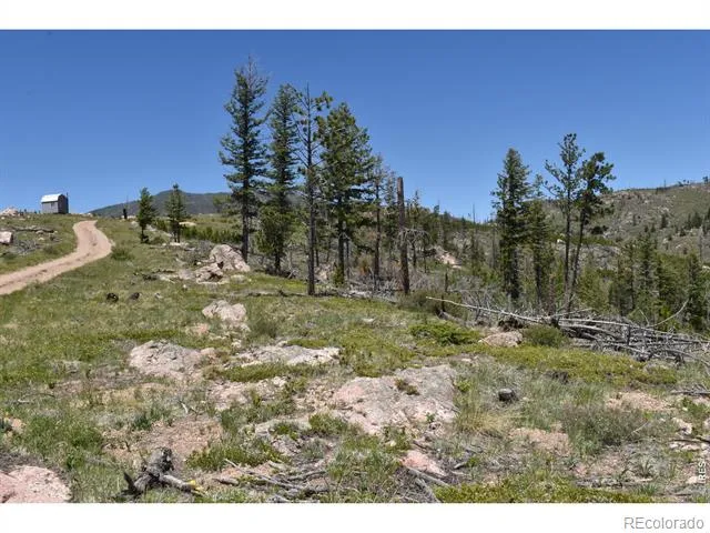 1989 Spencer Mountain Road Bellvue, CO 80512