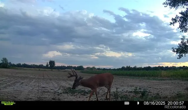 000 Daniel Rd Pueblo, CO 81006